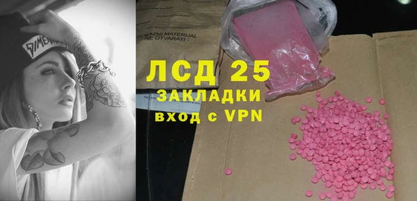 индика Пересвет
