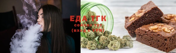 индика Пересвет
