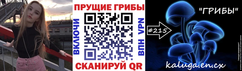 Галлюциногенные грибы Psilocybe Чекалин